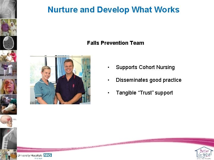 Nurture and Develop What Works Falls Prevention Team • Supports Cohort Nursing • Disseminates