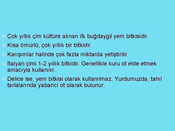  Çok yıllık çim kültüre alınan ilk buğdaygil yem bitkisidir. Kısa ömürlü, çok yıllık