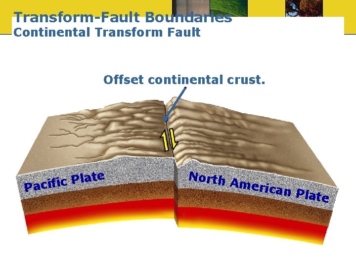 Transform-Fault Boundaries Continental Transform Fault Offset continental crust. ate l P c i f