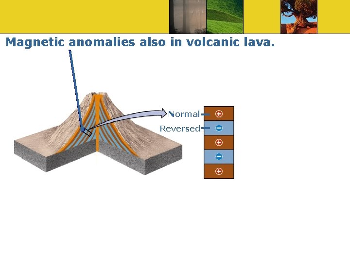 Magnetic anomalies also in volcanic lava. Normal Reversed 