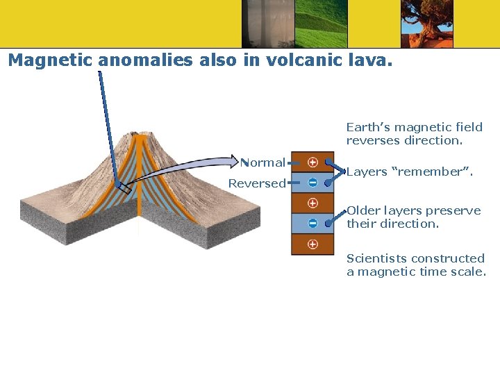 Magnetic anomalies also in volcanic lava. Earth’s magnetic field reverses direction. Normal Reversed Layers