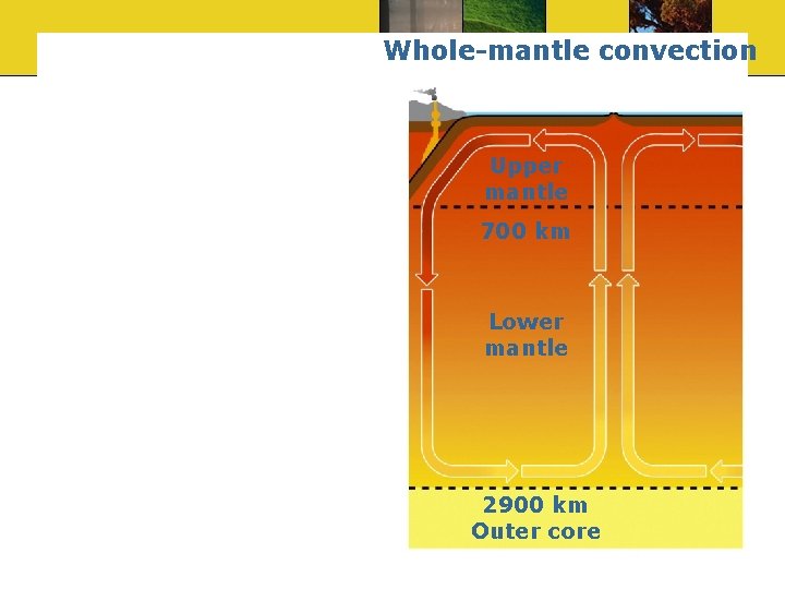 Whole-mantle convection Upper mantle 700 km Lower mantle 2900 km Outer core 