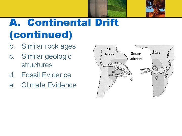 A. Continental Drift (continued) b. Similar rock ages c. Similar geologic structures d. Fossil