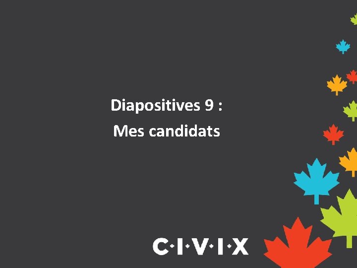 Diapositives 9 : Mes candidats 