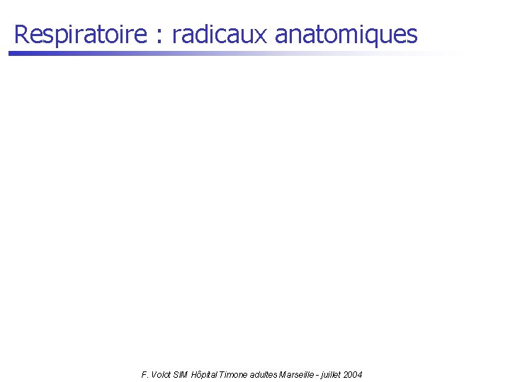 Respiratoire : radicaux anatomiques F. Volot SIM Hôpital Timone adultes Marseille - juillet 2004