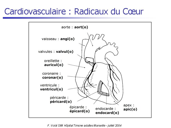 Cardiovasculaire : Radicaux du Cœur F. Volot SIM Hôpital Timone adultes Marseille - juillet