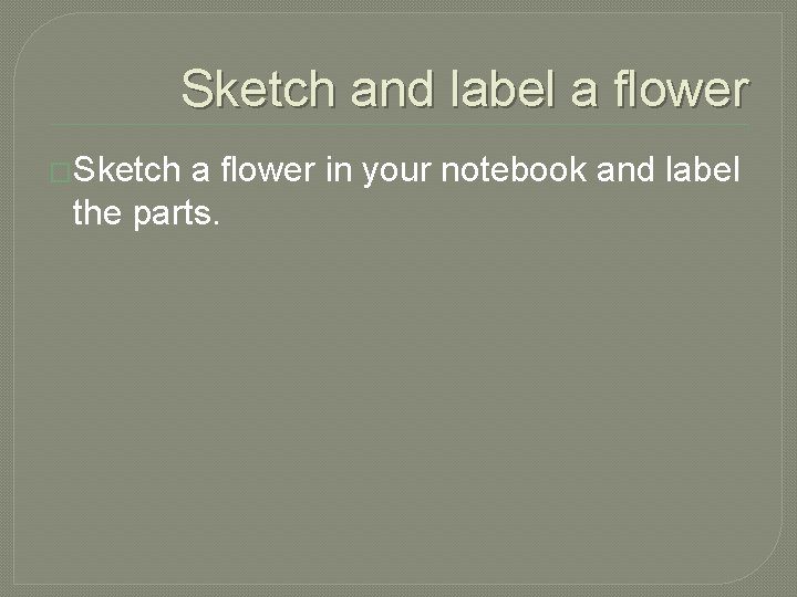 Sketch and label a flower �Sketch a flower in your notebook and label the