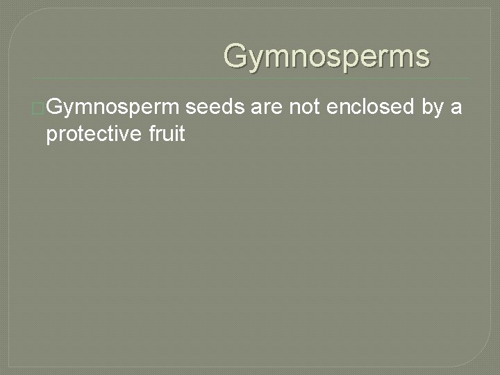 Gymnosperms �Gymnosperm protective fruit seeds are not enclosed by a 