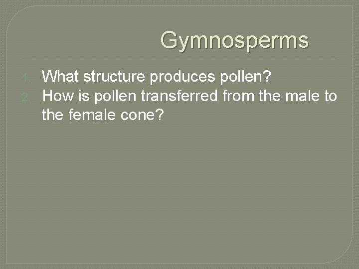 Gymnosperms 1. 2. What structure produces pollen? How is pollen transferred from the male