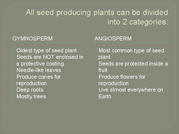 All seed producing plants can be divided into 2 categories: GYMNOSPERM � � �