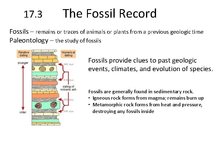 17. 3 The Fossil Record Fossils – remains or traces of animals or plants