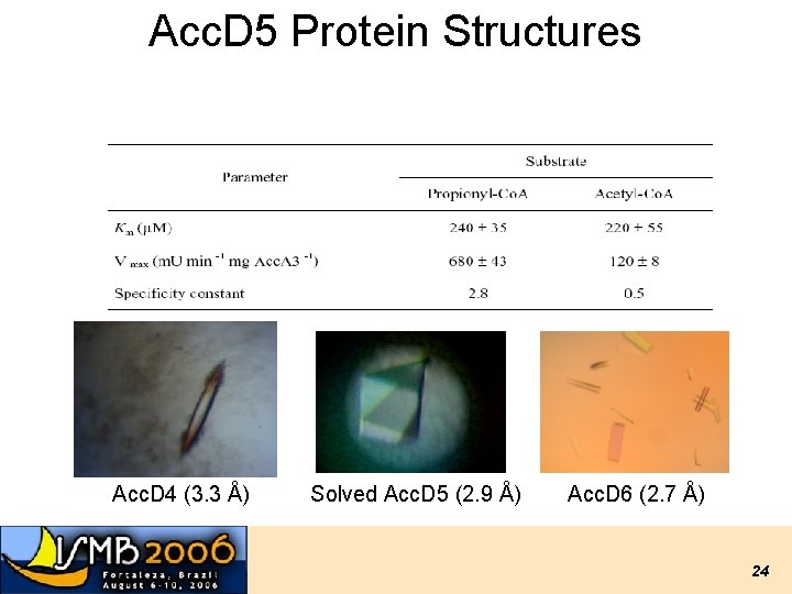 Acc. D 5 Protein Structures Acc. D 4 (3. 3 Å) Solved Acc. D Acc. D 5 Protein Structures Acc. D 4 (3. 3 Å) Solved Acc. D