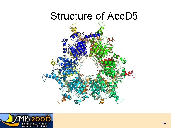 Structure of Acc. D 5 25 Structure of Acc. D 5 25