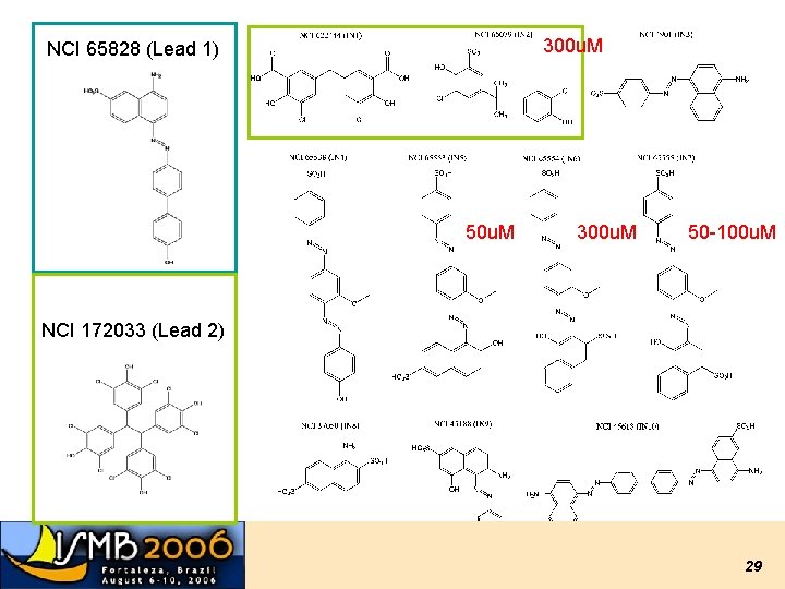 300 u. M NCI 65828 (Lead 1) 50 u. M 300 u. M 50 300 u. M NCI 65828 (Lead 1) 50 u. M 300 u. M 50