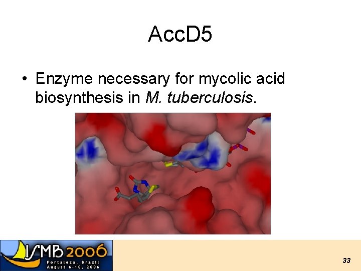 Acc. D 5 • Enzyme necessary for mycolic acid biosynthesis in M. tuberculosis. 33 Acc. D 5 • Enzyme necessary for mycolic acid biosynthesis in M. tuberculosis. 33