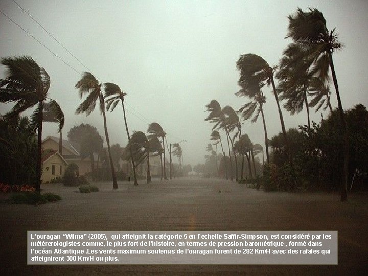 L’ouragan “Wilma ” (2005), qui atteignit la catégorie 5 en l’echelle Saffir“Wilma” Saffir-Simpson, est