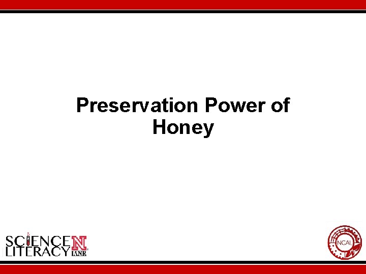 Preservation Power of Honey 