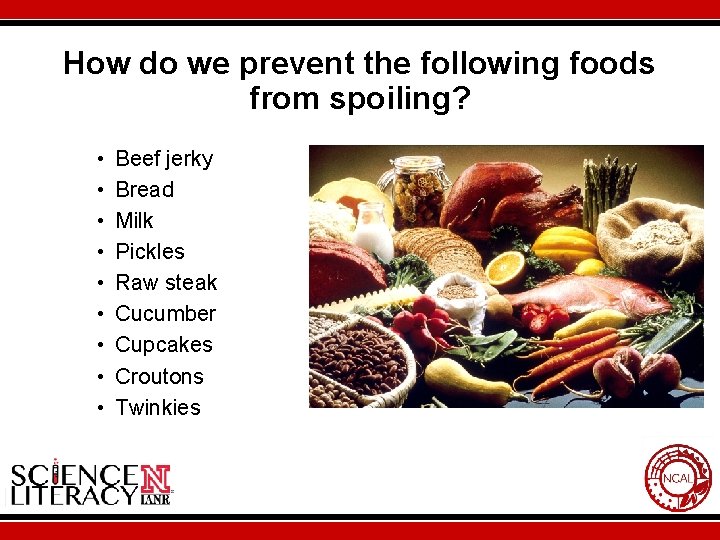 How do we prevent the following foods from spoiling? • • • Beef jerky