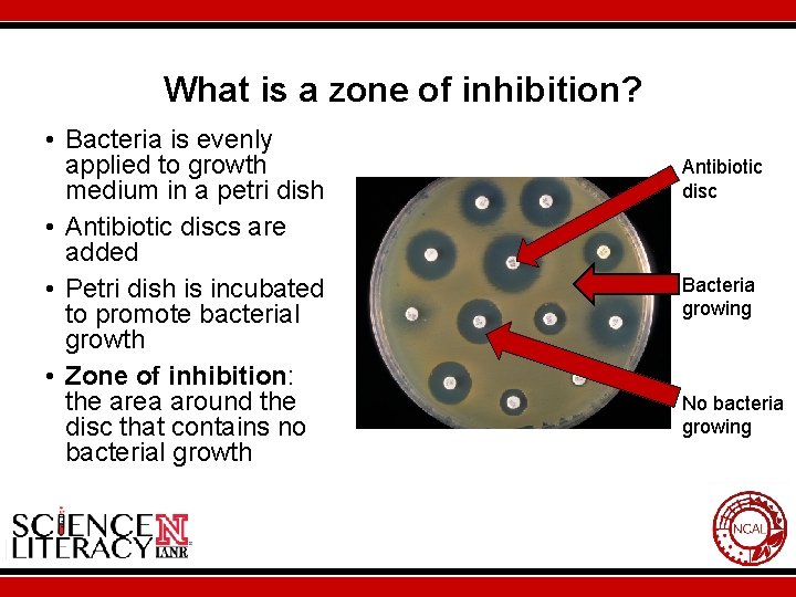 What is a zone of inhibition? • Bacteria is evenly applied to growth medium