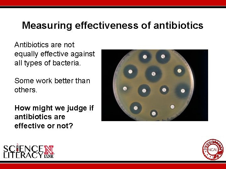 Measuring effectiveness of antibiotics Antibiotics are not equally effective against all types of bacteria.
