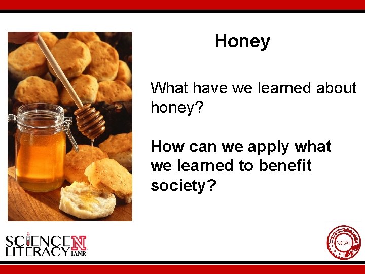 Honey What have we learned about honey? How can we apply what we learned