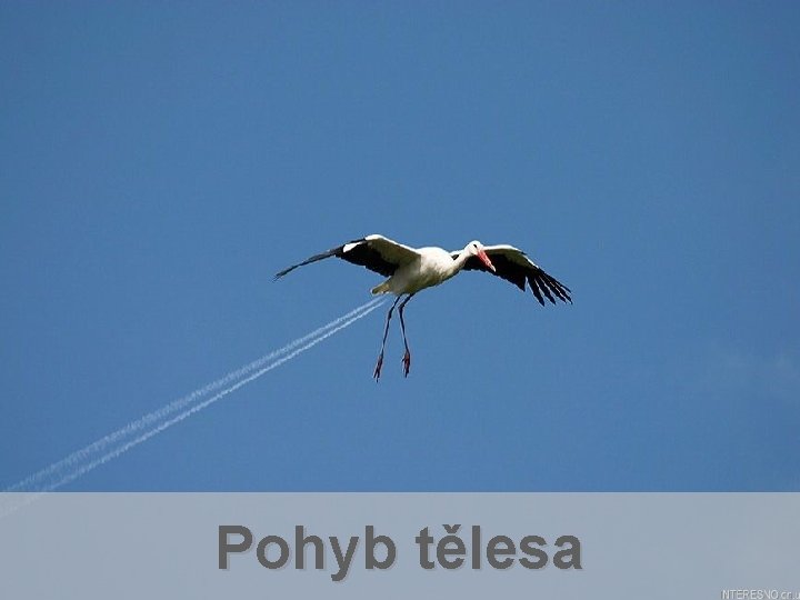 Pohyb tělesa 