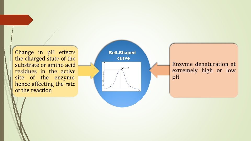 Bell-Shaped curve 