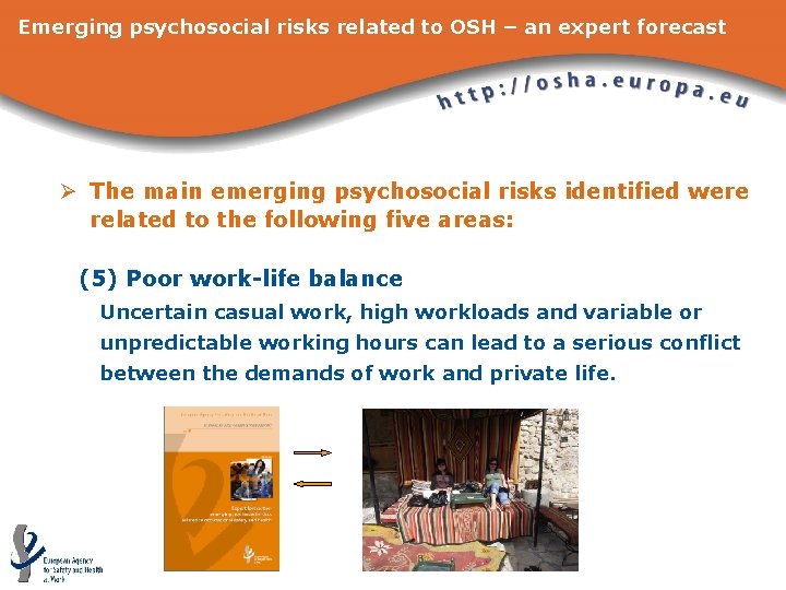 Emerging psychosocial risks related to OSH – an expert forecast Ø The main emerging