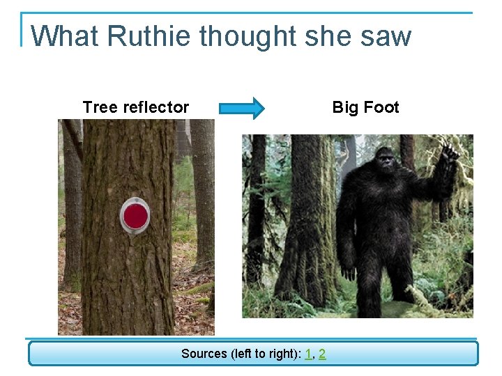What Ruthie thought she saw Tree reflector Sources (left to right): 1, 2 Big