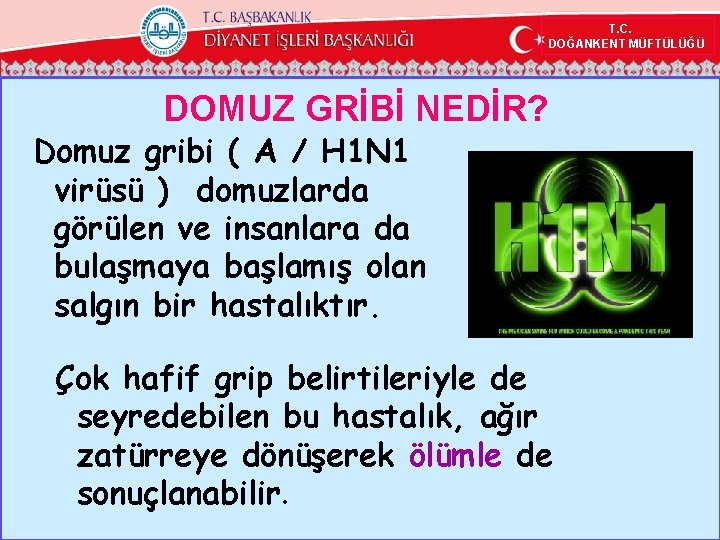 T. C. DOĞANKENT MÜFTÜLÜĞÜ DOMUZ GRİBİ NEDİR? Domuz gribi ( A / H 1