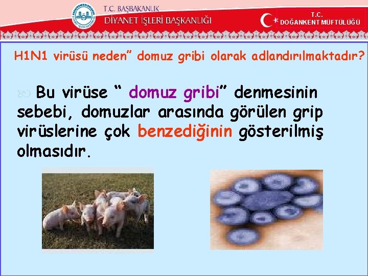 T. C. DOĞANKENT MÜFTÜLÜĞÜ H 1 N 1 virüsü neden” domuz gribi olarak adlandırılmaktadır?