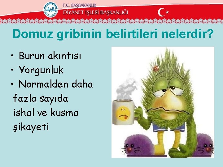 Domuz gribinin belirtileri nelerdir? • Burun akıntısı • Yorgunluk • Normalden daha fazla sayıda