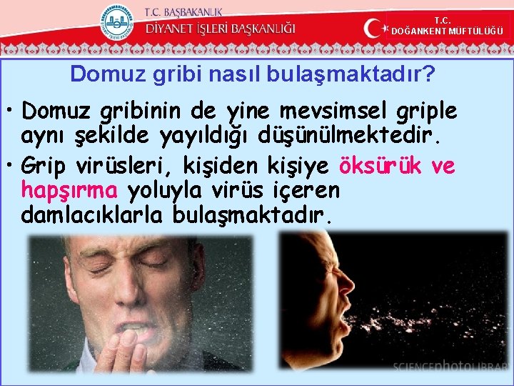 T. C. DOĞANKENT MÜFTÜLÜĞÜ Domuz gribi nasıl bulaşmaktadır? • Domuz gribinin de yine mevsimsel