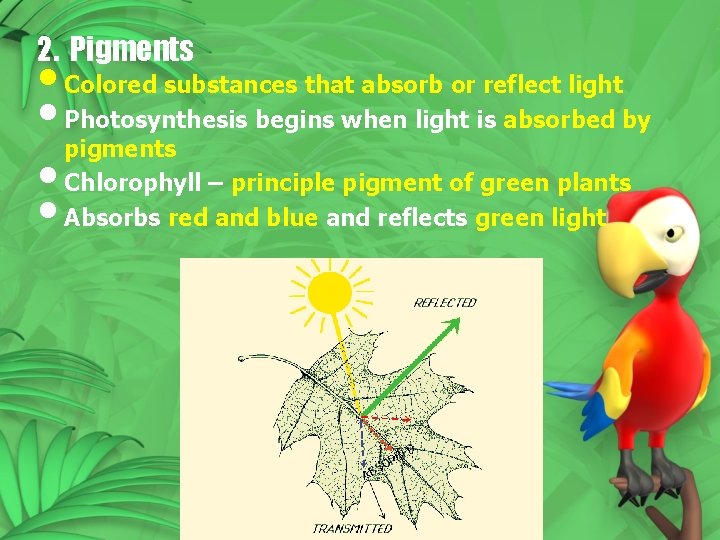2. Pigments • Colored substances that absorb or reflect light • Photosynthesis begins when 2. Pigments • Colored substances that absorb or reflect light • Photosynthesis begins when