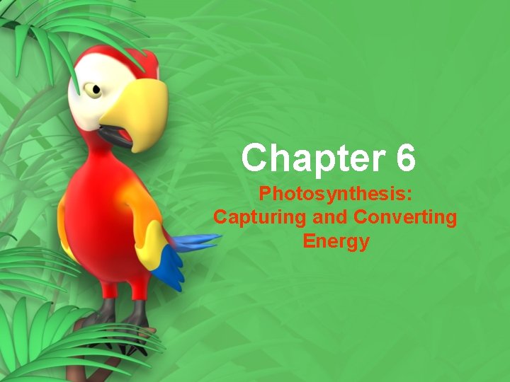 Chapter 6 Photosynthesis: Capturing and Converting Energy Chapter 6 Photosynthesis: Capturing and Converting Energy