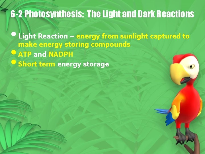 6 -2 Photosynthesis: The Light and Dark Reactions • Light Reaction – energy from 6 -2 Photosynthesis: The Light and Dark Reactions • Light Reaction – energy from