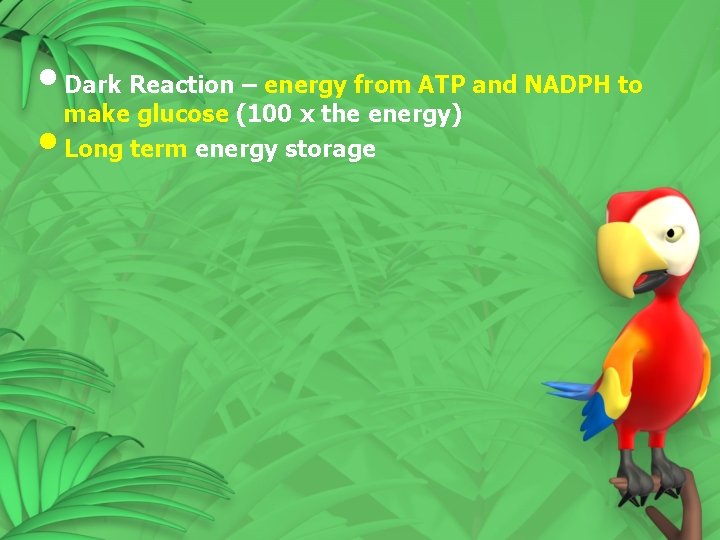 • Dark Reaction – energy from ATP and NADPH to make glucose (100 • Dark Reaction – energy from ATP and NADPH to make glucose (100