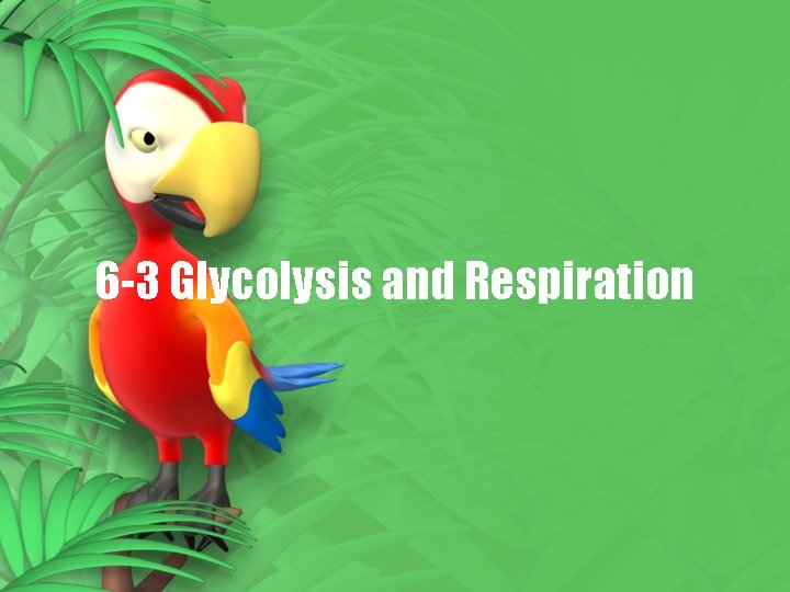 6 -3 Glycolysis and Respiration 6 -3 Glycolysis and Respiration