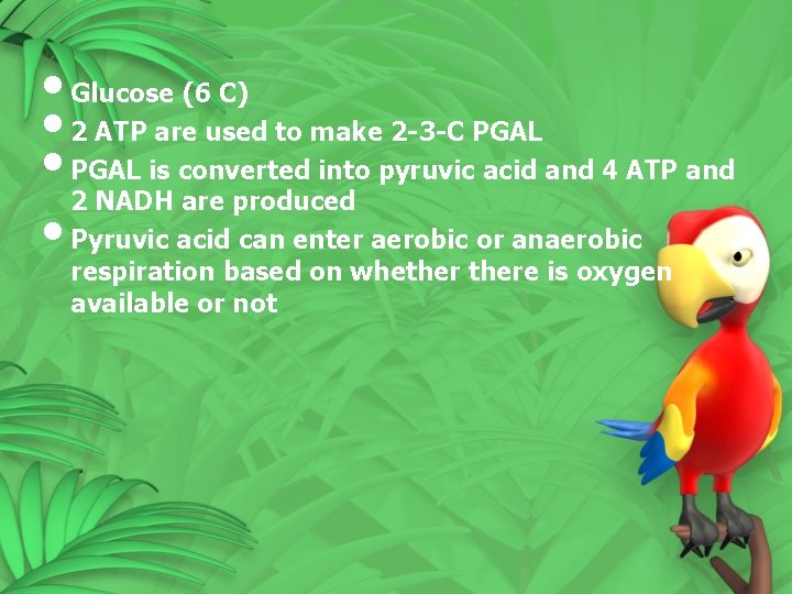 • Glucose (6 C) • 2 ATP are used to make 2 -3 • Glucose (6 C) • 2 ATP are used to make 2 -3