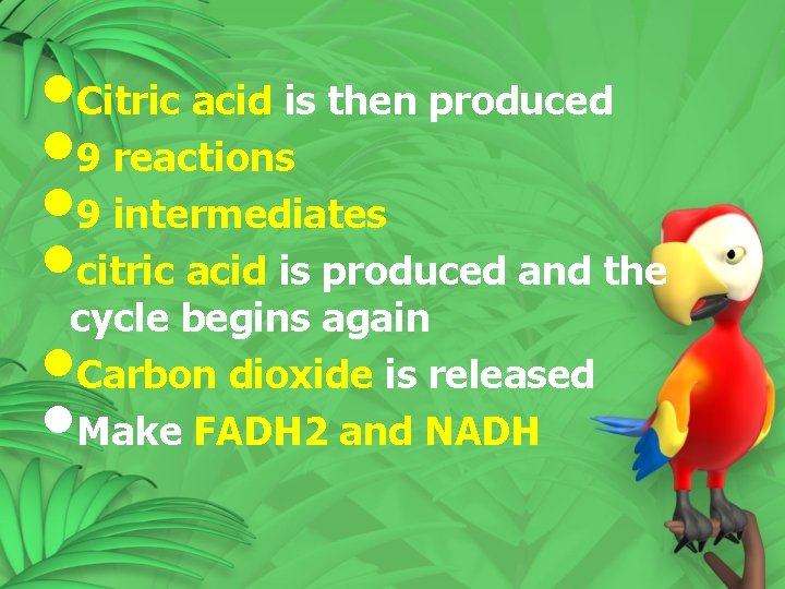 • Citric acid is then produced • 9 reactions • 9 intermediates • • Citric acid is then produced • 9 reactions • 9 intermediates •
