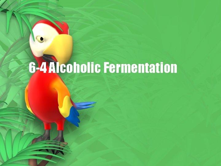 6 -4 Alcoholic Fermentation 6 -4 Alcoholic Fermentation