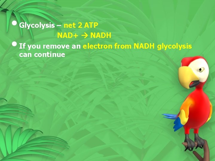 • Glycolysis – net 2 ATP NAD+ NADH • If you remove an • Glycolysis – net 2 ATP NAD+ NADH • If you remove an