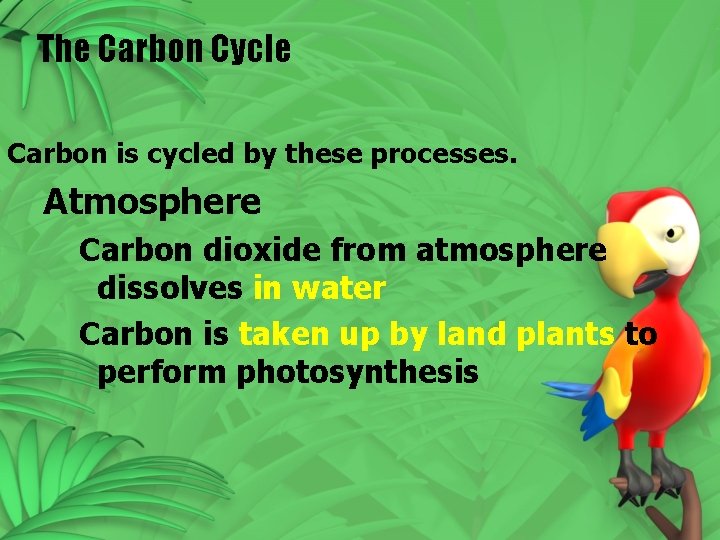 The Carbon Cycle Carbon is cycled by these processes. Atmosphere Carbon dioxide from atmosphere The Carbon Cycle Carbon is cycled by these processes. Atmosphere Carbon dioxide from atmosphere