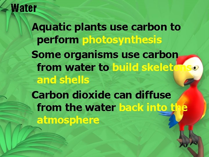 Water Aquatic plants use carbon to perform photosynthesis Some organisms use carbon from water Water Aquatic plants use carbon to perform photosynthesis Some organisms use carbon from water
