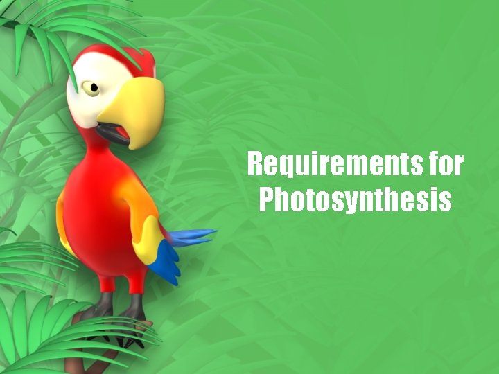 Requirements for Photosynthesis Requirements for Photosynthesis