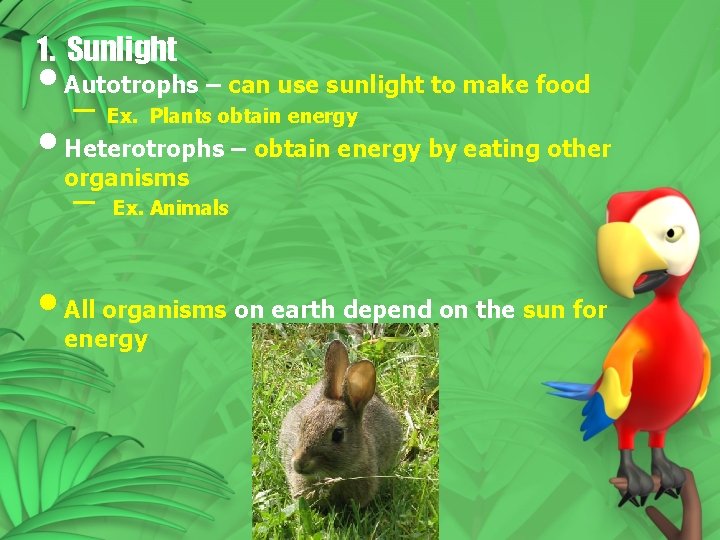 1. Sunlight • Autotrophs – can use sunlight to make food – Ex. Plants 1. Sunlight • Autotrophs – can use sunlight to make food – Ex. Plants