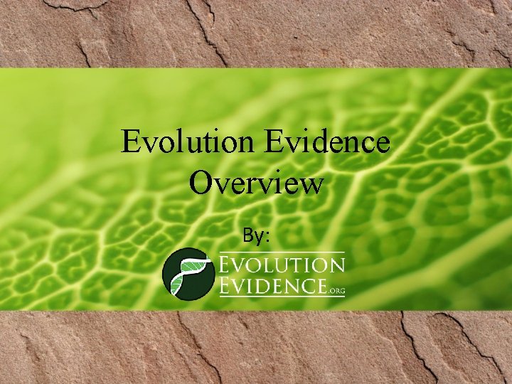 Evolution Evidence Overview By: 
