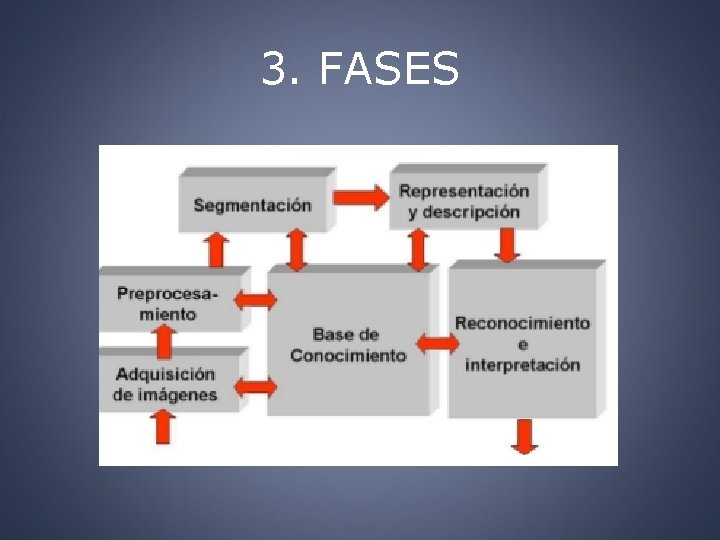 3. FASES 