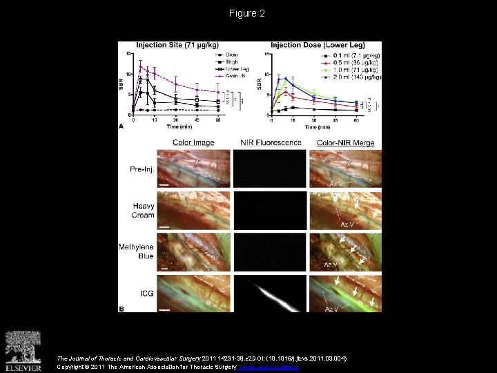 Figure 2 The Journal of Thoracic and Cardiovascular Surgery 2011 14231 -38. e 2