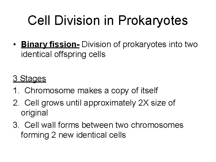 Cell Division in Prokaryotes • Binary fission- Division of prokaryotes into two identical offspring